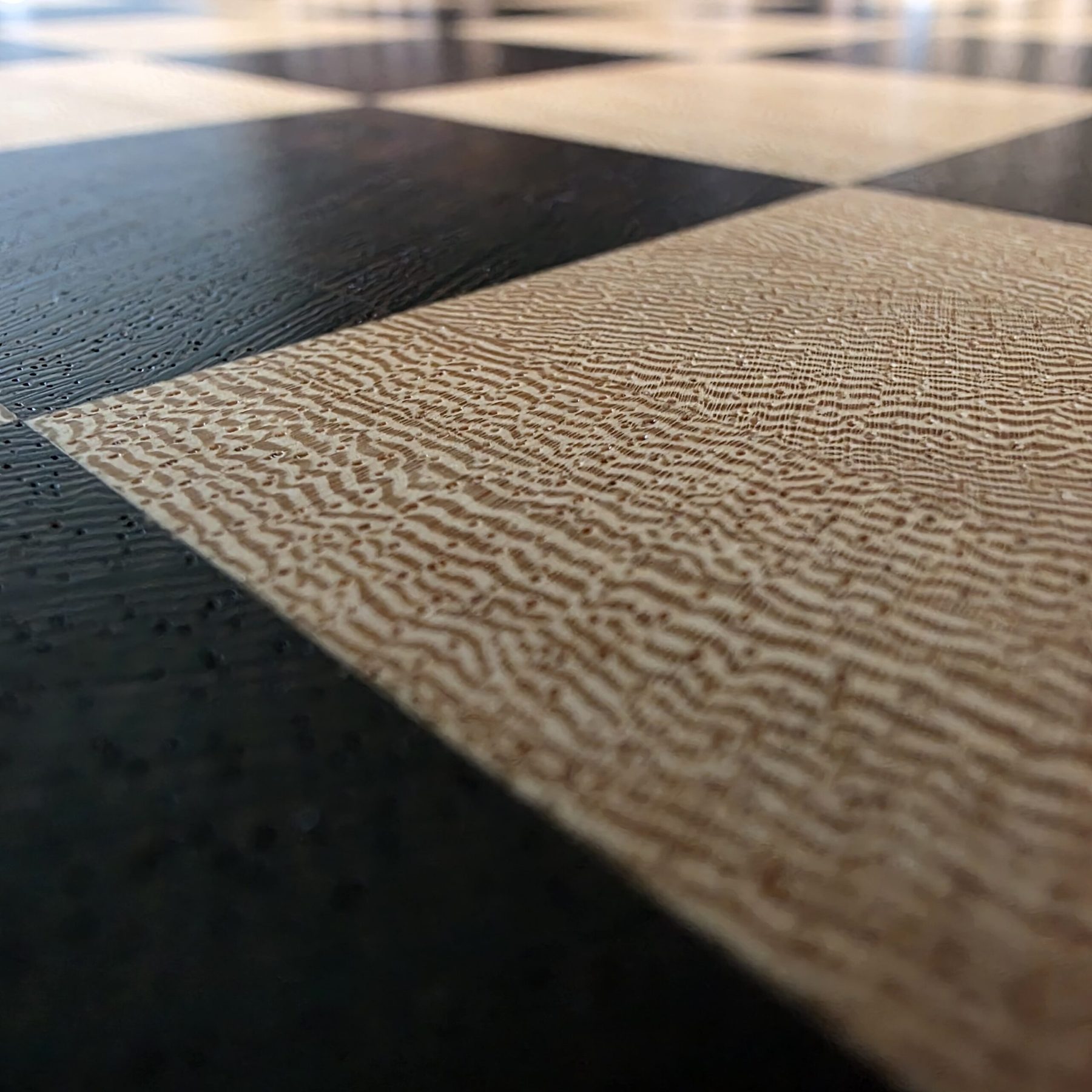Close-up of an end grain surface showing the standing wood fibres